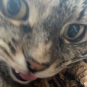 Meet your Posher, Jacob